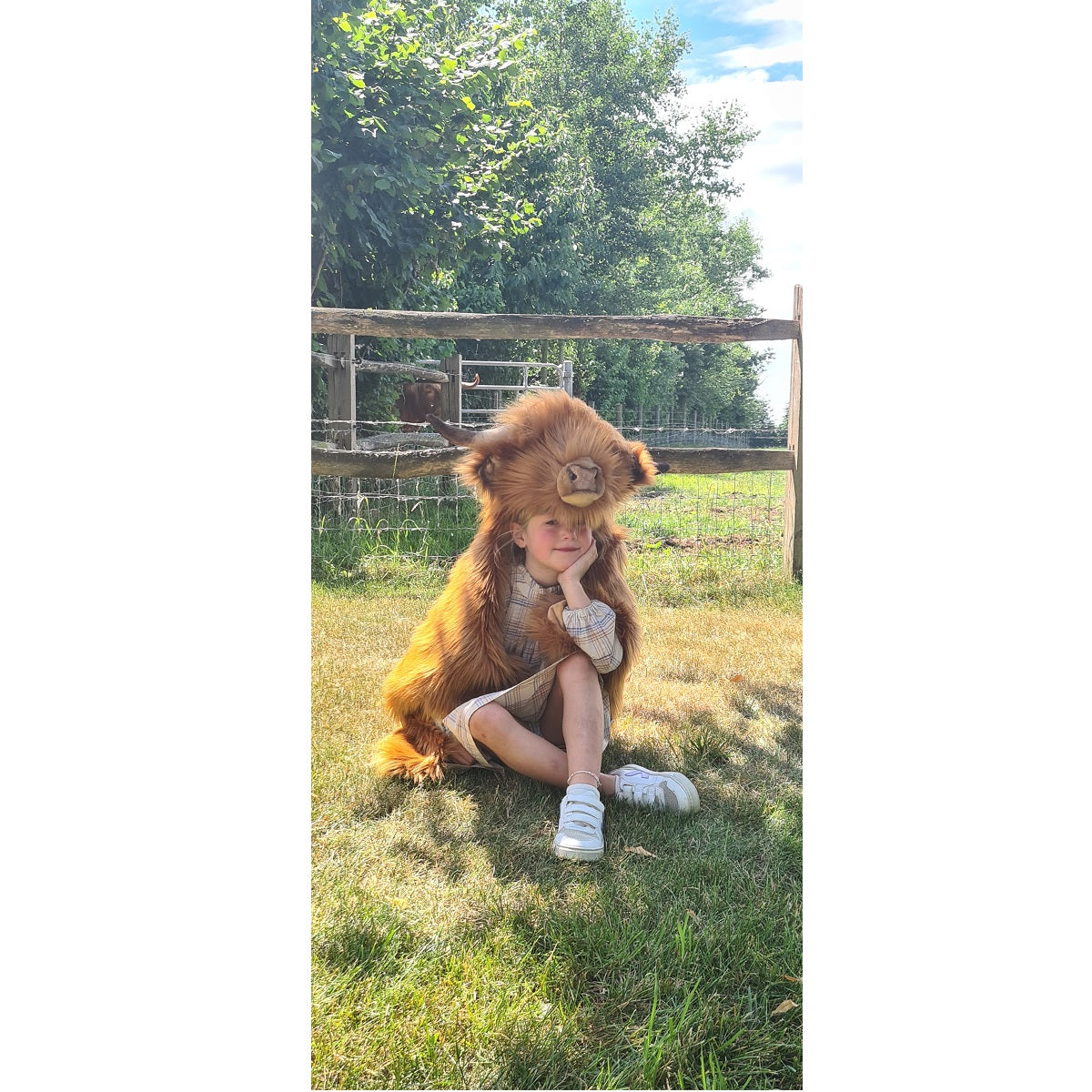 Disguise, Highland Cow