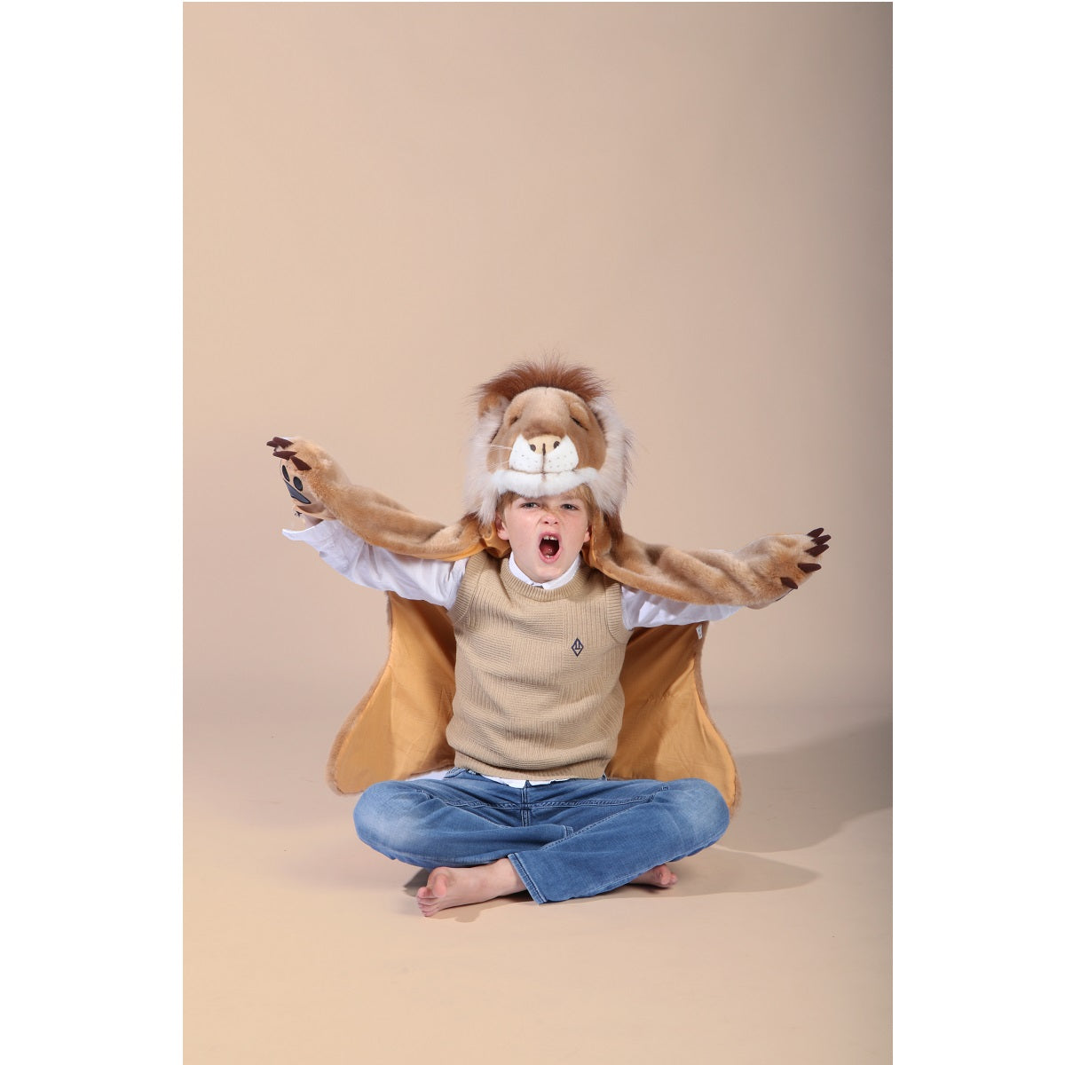 Disguise, Lion