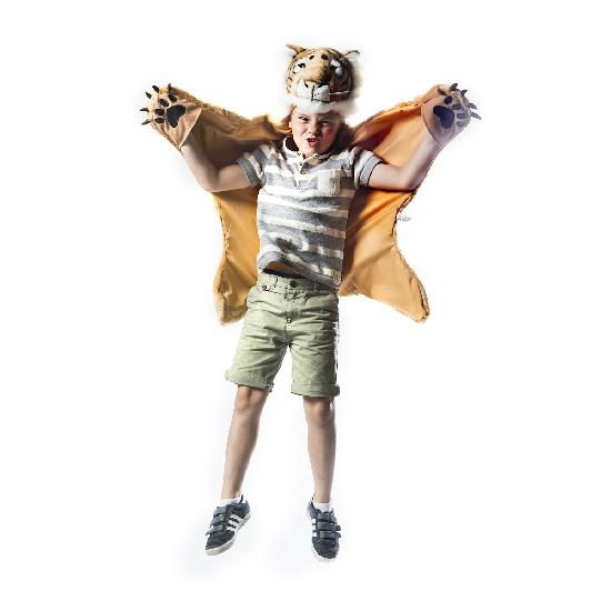Disguise, Tiger