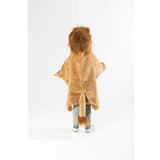 Disguise, Lion