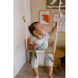 Hanging Gym - Baby Swing
