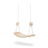 Hanging Gym - Child's Swing