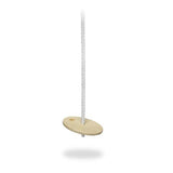Hanging Gym - Swinging Disc