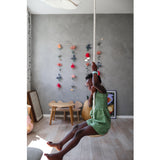 Hanging Gym - Swinging Disc
