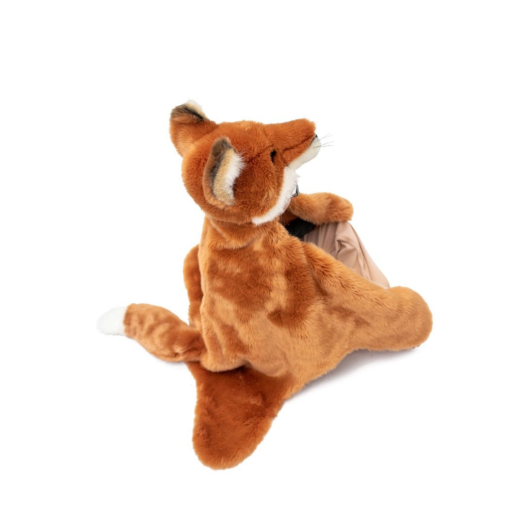 Disguise, Fox