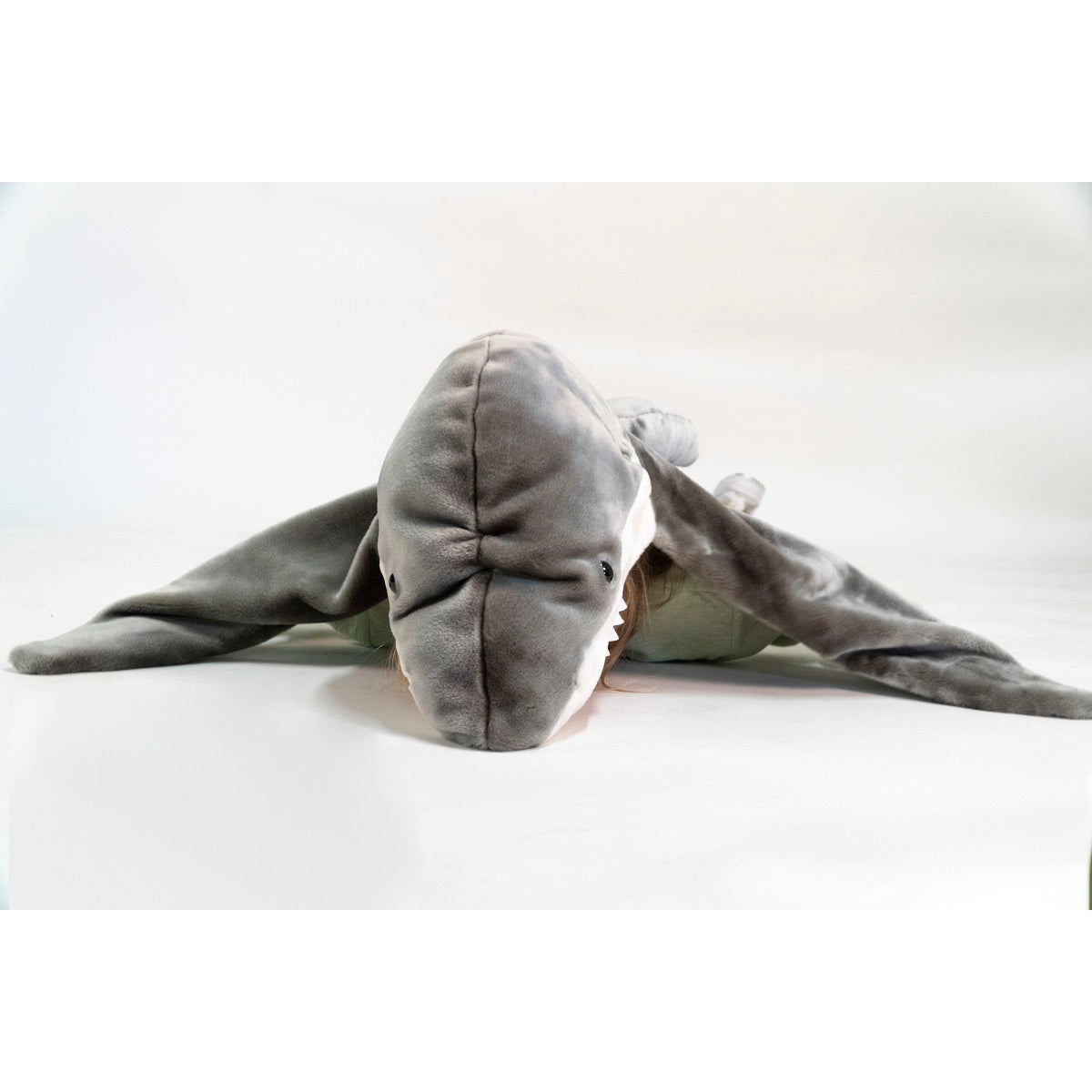 Disguise, Shark