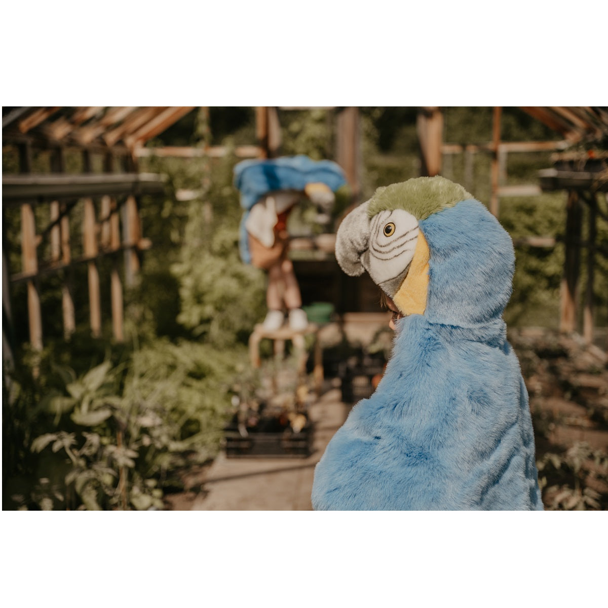 Disguise, Parrot