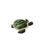 Backpack, Turtle