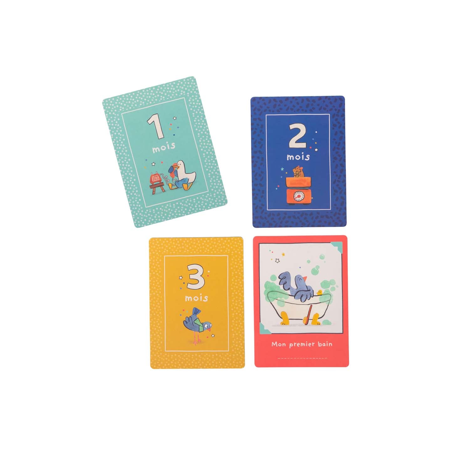 Puce & Pilou - My First 12 Months Cards FRENCH