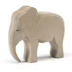 Elephant Bull - Ostheimer