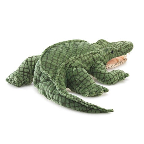 Alligator