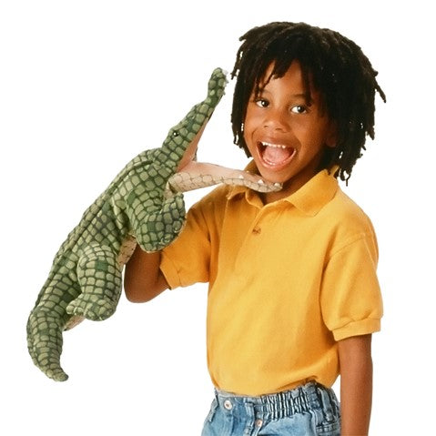 Alligator