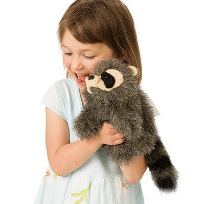 Baby Raccoon