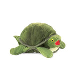 Baby Turtle