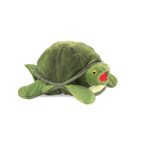 Baby Turtle