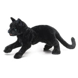 Black Cat