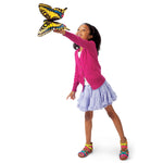 Swallowtail Butterfly