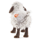 Bleating Sheep