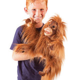 Baby Orangutan