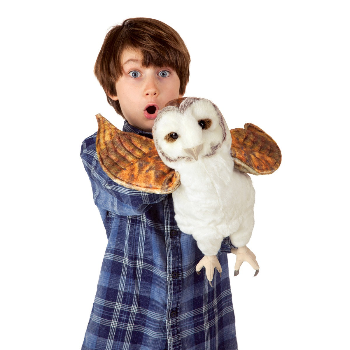 Barn Owl