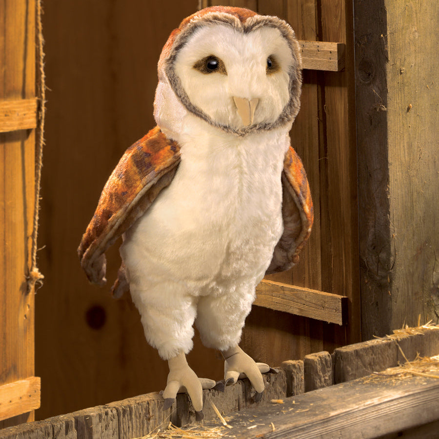 Barn Owl
