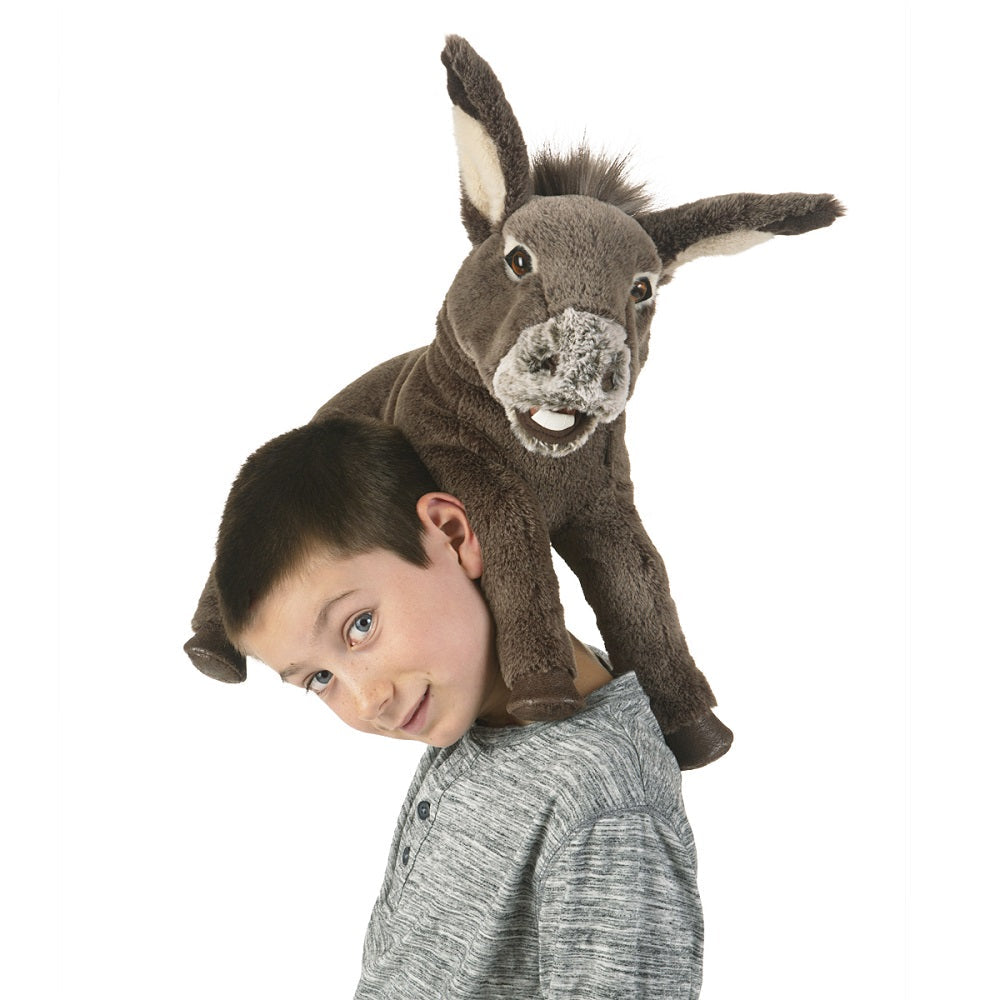 Baby Donkey