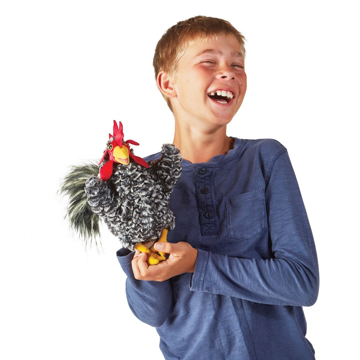 Barred Rock Rooster