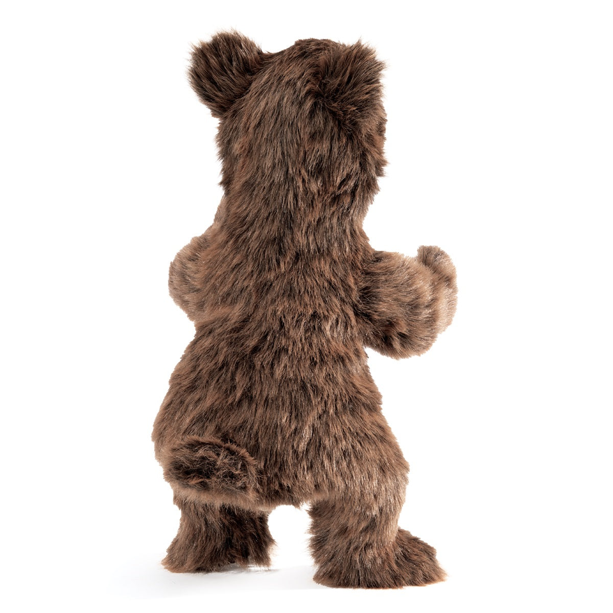 Bear Cub