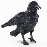 Crow