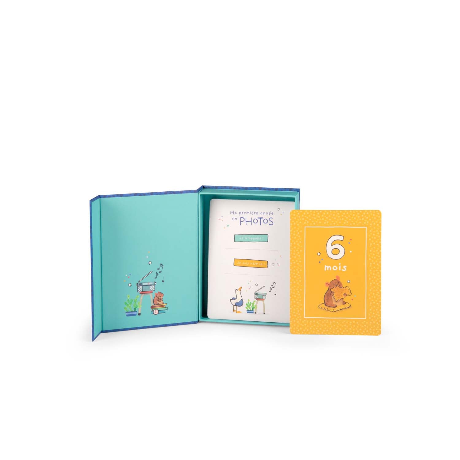Puce & Pilou - My First 12 Months Cards FRENCH