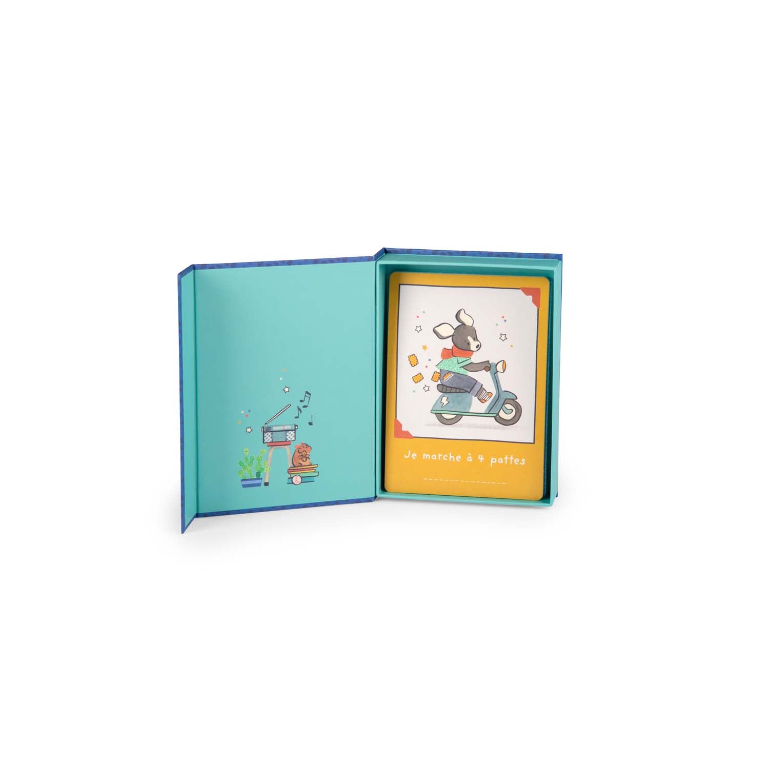 Puce & Pilou - My First 12 Months Cards FRENCH