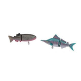 Petites Merveilles - Amazing Fish (16 Assorted)