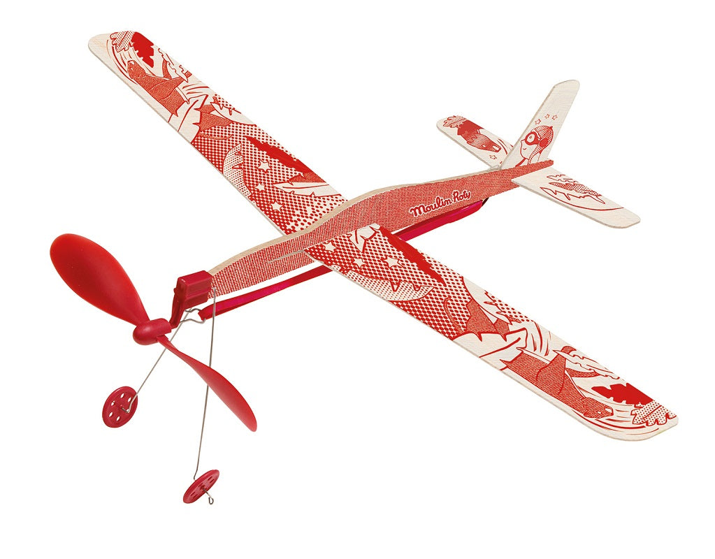 Petites Merveilles - Airplanes (24 Assorted)