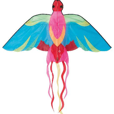 Aujourd Hui Cest Mercredi - Bird Kite