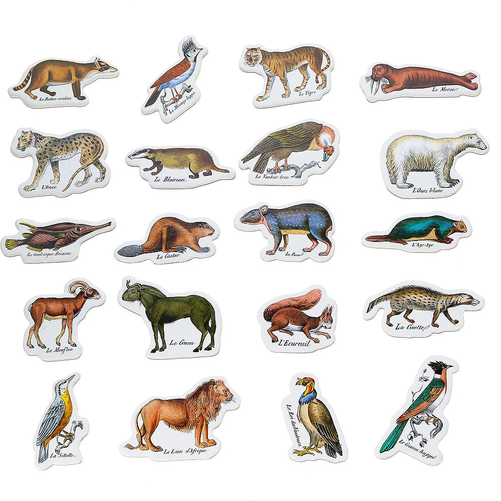 Museum national dHistoire naturelle - Buffon's Zoological Magnets
