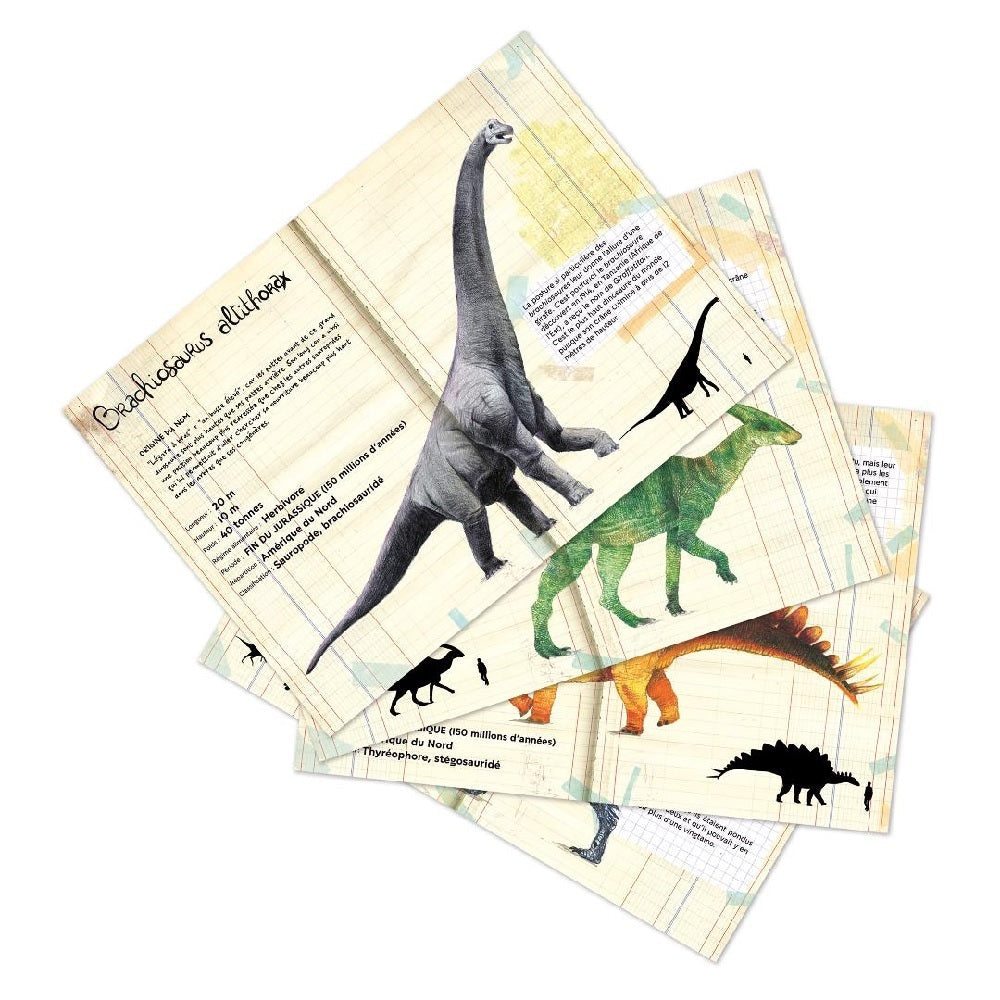 Museum National dHistoire Naturelle - Dinosaur Magnets