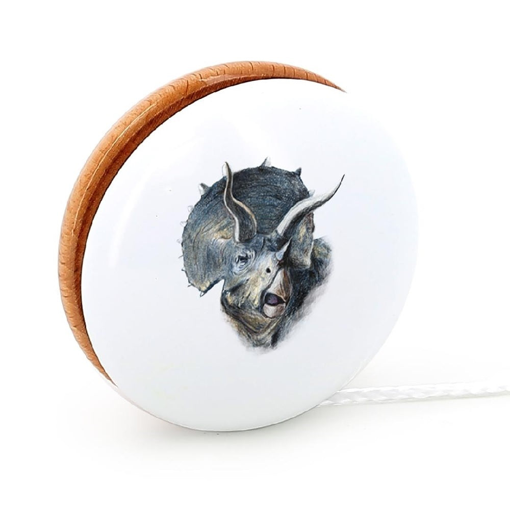Museum National dHistoire Naturelle - Yoyo, Triceratops
