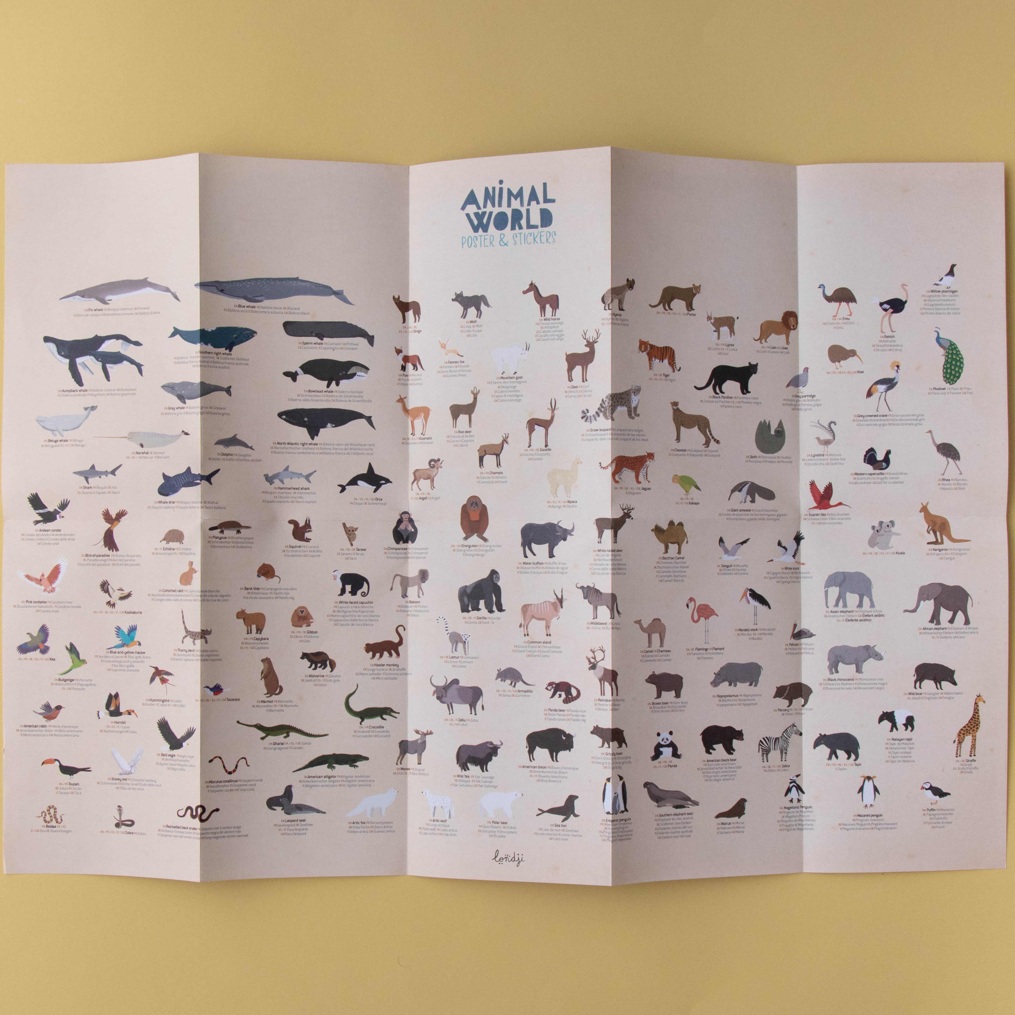 Stickers - Animal World Poster & Stickers