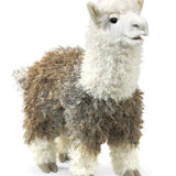 Alpaca