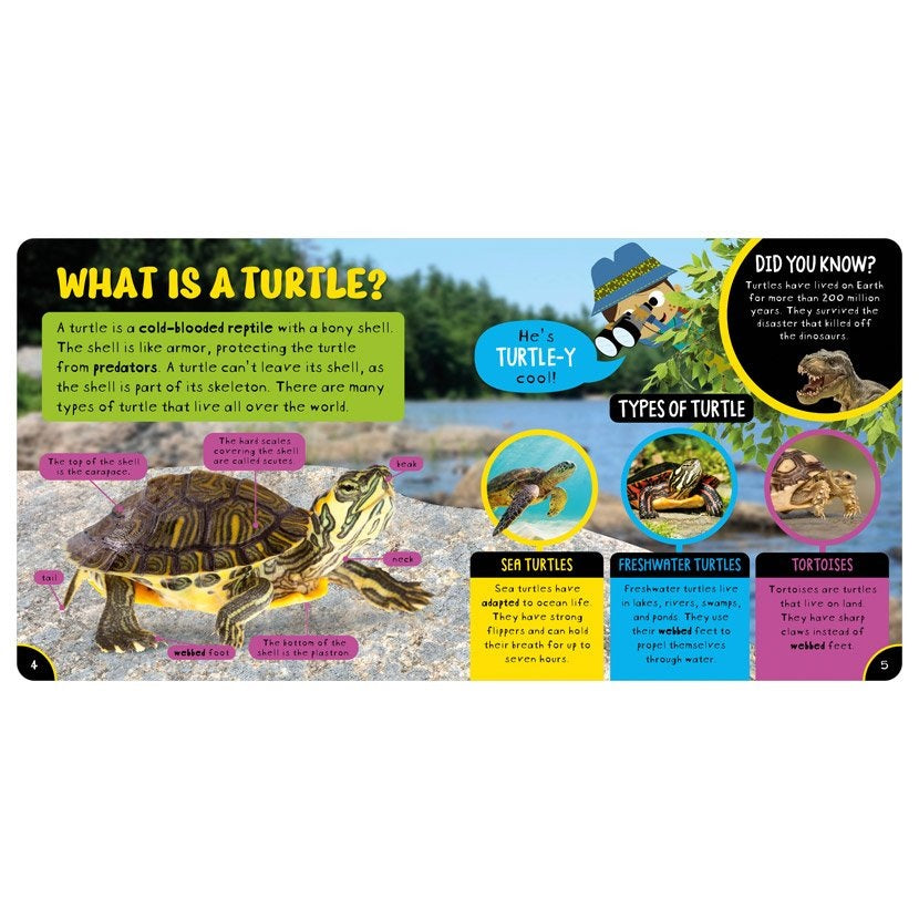 Amazing Turtle - HC