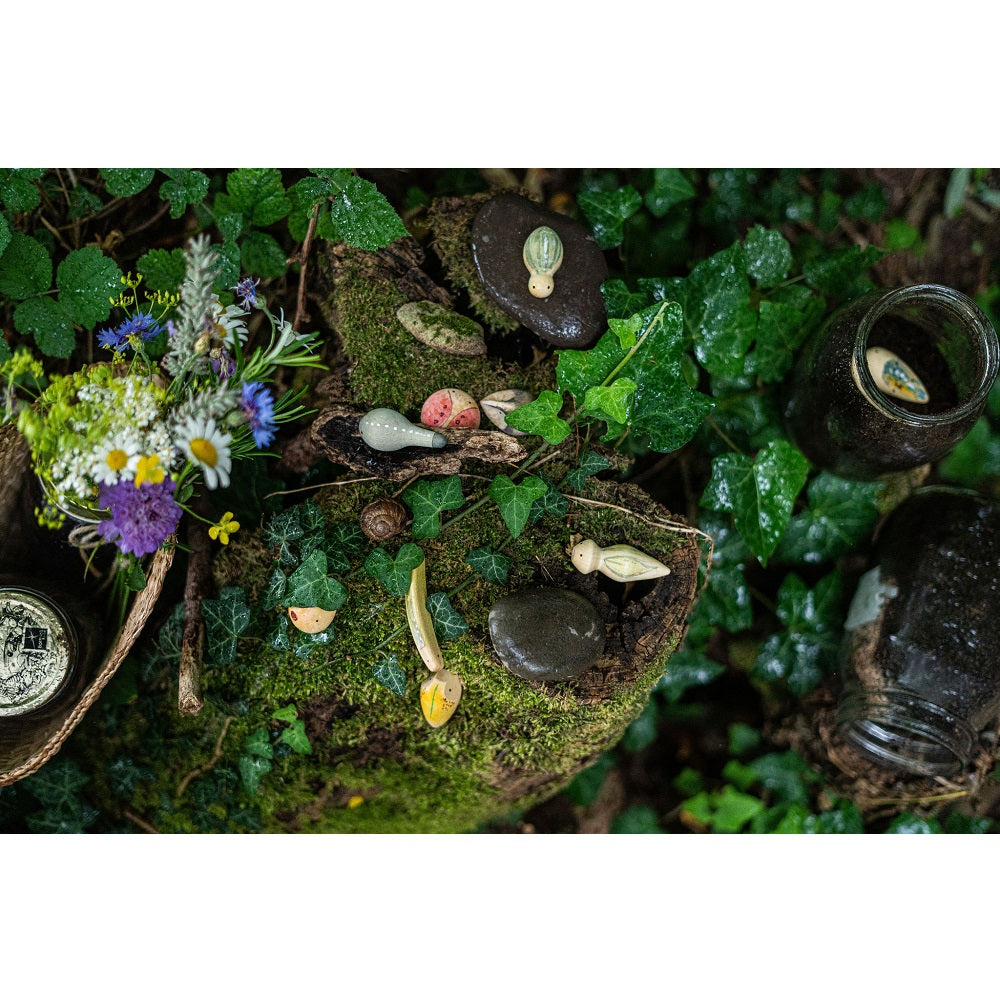 Wild 12pcs with Tray