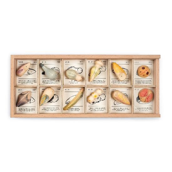Wild 12pcs with Tray