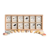 Wild 12pcs with Tray