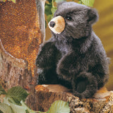 Baby Black Bear
