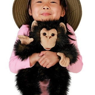 Baby Chimpanzee