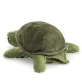 Baby Turtle