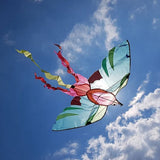 Aujourd Hui Cest Mercredi - Bird Kite