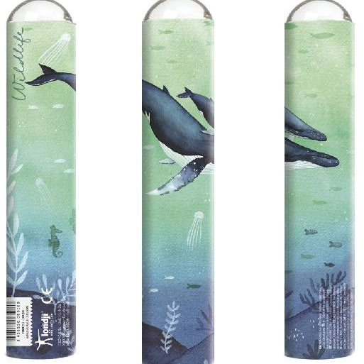 Kaleidoscope - Nathalie Ouederni Whales