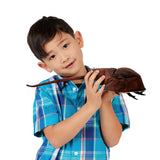 Horseshoe Crab