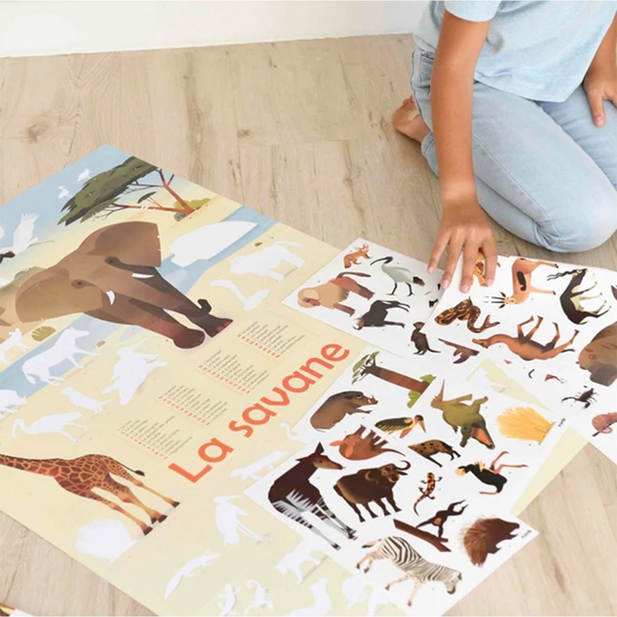 Discovery Poster Savannah XXL